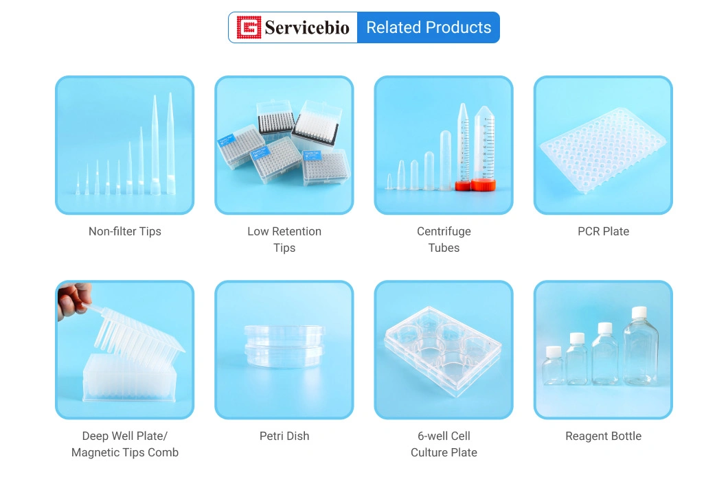 Factory Outlets Universal Lab Extended Length Low Bonding 96 Wells Rack 1000UL Pipette Tips with Filter